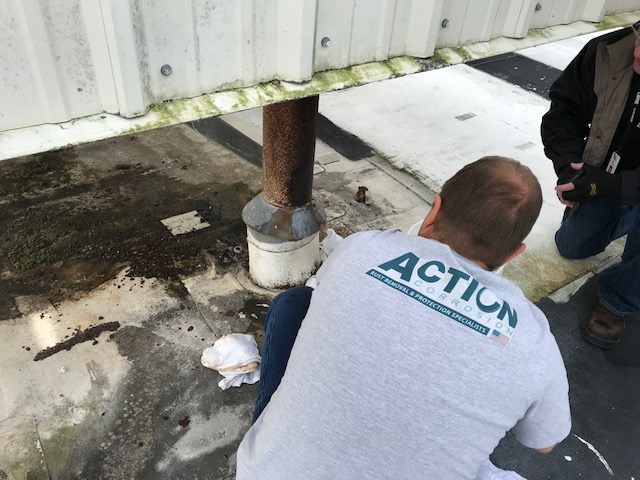 structural rust removal